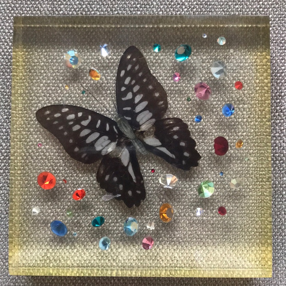 Butterfky Home Decor